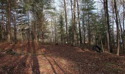 Photo #46 of VALLEY BURG RD, LURAY, VA 58.0 acres