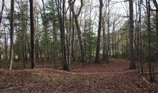 Photo #47 of VALLEY BURG RD, LURAY, VA 58.0 acres