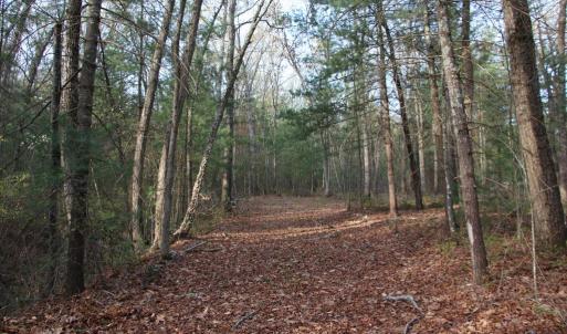 Photo #48 of VALLEY BURG RD, LURAY, VA 58.0 acres