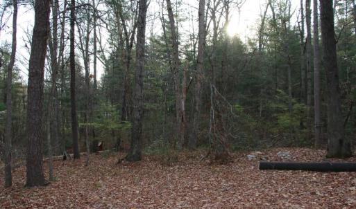 Photo #50 of VALLEY BURG RD, LURAY, VA 58.0 acres