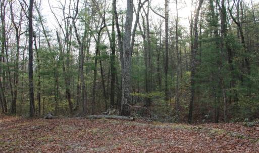 Photo #51 of VALLEY BURG RD, LURAY, VA 58.0 acres
