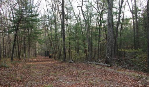 Photo #52 of VALLEY BURG RD, LURAY, VA 58.0 acres