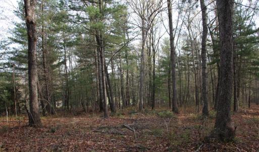 Photo #54 of VALLEY BURG RD, LURAY, VA 58.0 acres