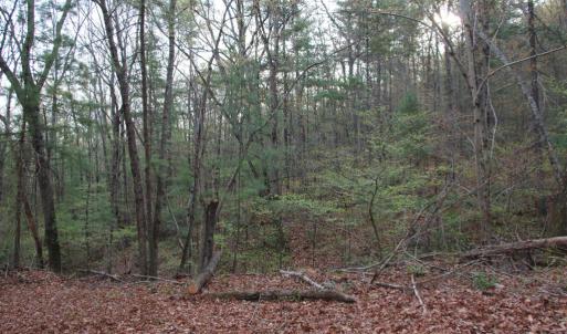 Photo #56 of VALLEY BURG RD, LURAY, VA 58.0 acres