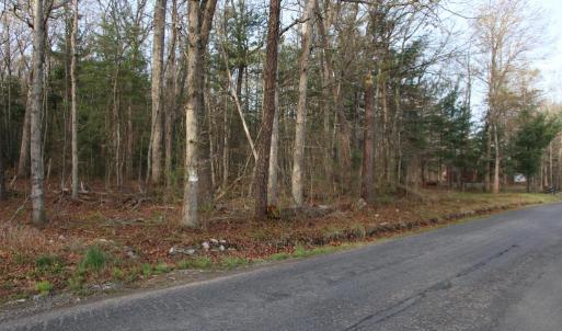 Photo #57 of VALLEY BURG RD, LURAY, VA 58.0 acres