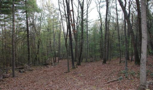 Photo #58 of VALLEY BURG RD, LURAY, VA 58.0 acres