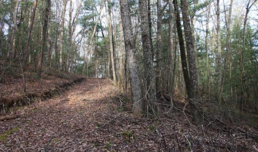 Photo #60 of VALLEY BURG RD, LURAY, VA 58.0 acres