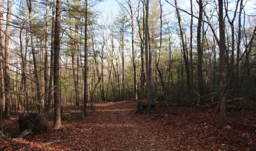 Photo #20 of VALLEY BURG RD, LURAY, VA 58.0 acres
