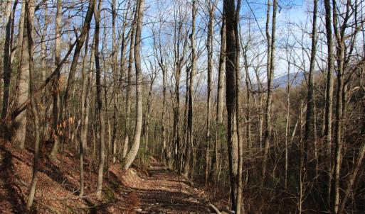 Photo #21 of VALLEY BURG RD, LURAY, VA 58.0 acres