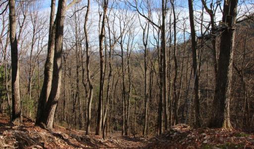 Photo #23 of VALLEY BURG RD, LURAY, VA 58.0 acres