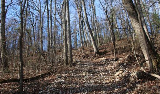 Photo #24 of VALLEY BURG RD, LURAY, VA 58.0 acres