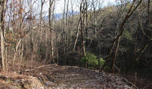 Photo #25 of VALLEY BURG RD, LURAY, VA 58.0 acres