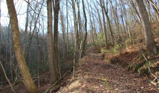 Photo #29 of VALLEY BURG RD, LURAY, VA 58.0 acres
