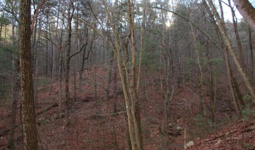 Photo #31 of VALLEY BURG RD, LURAY, VA 58.0 acres