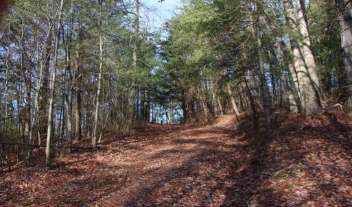 Photo #32 of VALLEY BURG RD, LURAY, VA 58.0 acres