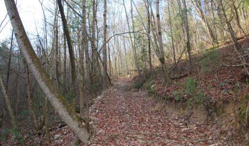 Photo #33 of VALLEY BURG RD, LURAY, VA 58.0 acres