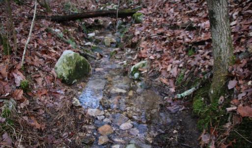 Photo #13 of VALLEY BURG RD, LURAY, VA 58.0 acres
