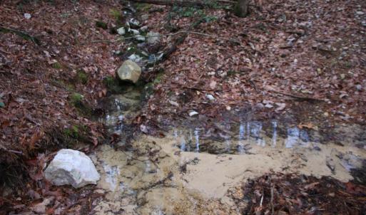 Photo #12 of VALLEY BURG RD, LURAY, VA 58.0 acres