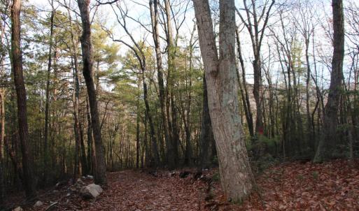 Photo #36 of VALLEY BURG RD, LURAY, VA 58.0 acres
