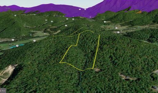 Photo #42 of VALLEY BURG RD, LURAY, VA 58.0 acres