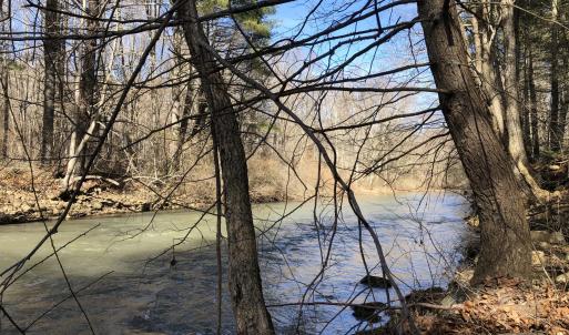 Creek view downstream