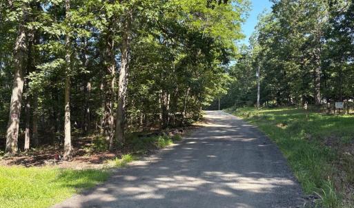 Photo #4 of 23 TAYLOR RD, LOUISA, VA 11.8 acres