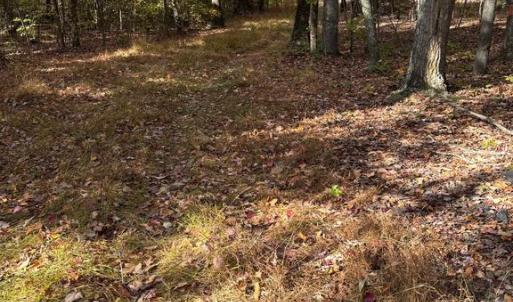 Photo #5 of 23 TAYLOR RD, LOUISA, VA 11.8 acres