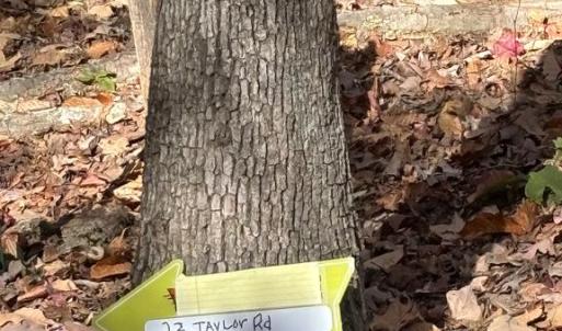 Photo #6 of 23 TAYLOR RD, LOUISA, VA 11.8 acres