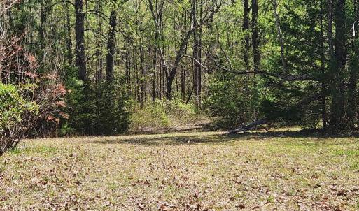 Photo #1 of 3618 JOHNSON RD, MINERAL, VA 6.6 acres