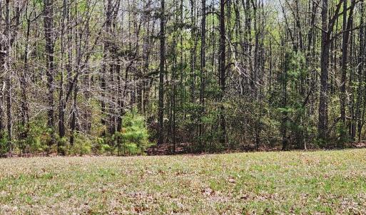 Photo #12 of 3618 JOHNSON RD, MINERAL, VA 6.6 acres