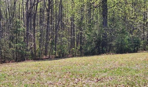 Photo #13 of 3618 JOHNSON RD, MINERAL, VA 6.6 acres