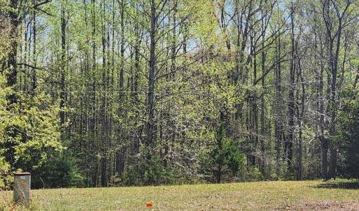 Photo #15 of 3618 JOHNSON RD, MINERAL, VA 6.6 acres