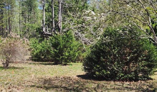 Photo #11 of 3618 JOHNSON RD, MINERAL, VA 6.6 acres