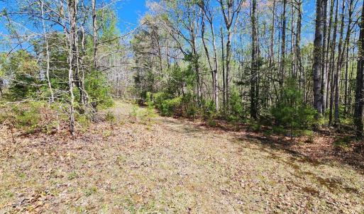 Photo #5 of 3618 JOHNSON RD, MINERAL, VA 6.6 acres