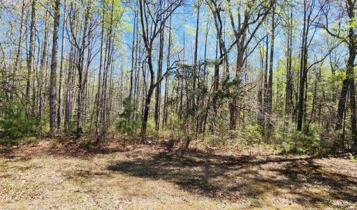 Photo #8 of 3618 JOHNSON RD, MINERAL, VA 6.6 acres