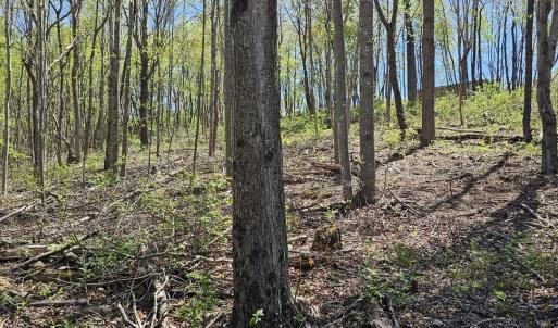 Lot 1-B-1 0 Yale Dr, Salem, VA 24153