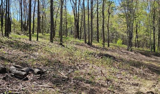 Lot 1-B-1 0 Yale Dr, Salem, VA 24153