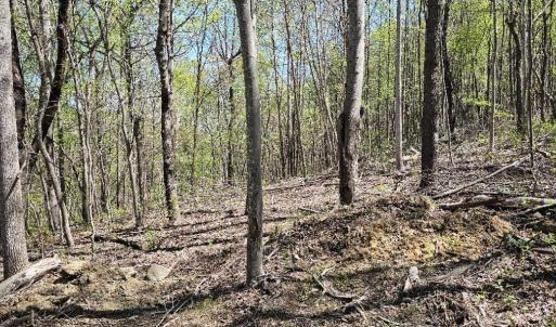 Lot 1-B-1 0 Yale Dr, Salem, VA 24153