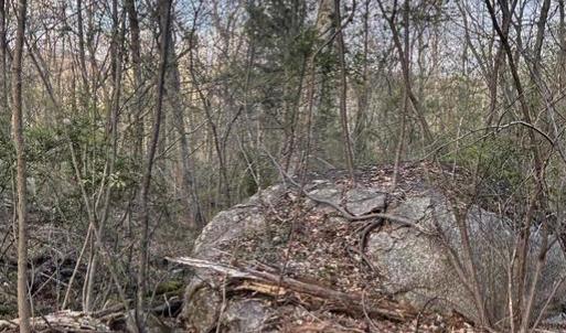 Photo #5 of PADUA, SPERRYVILLE, VA 14.3 acres