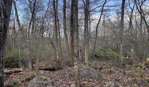 Photo #7 of PADUA, SPERRYVILLE, VA 14.3 acres