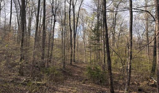 Photo #1 of PADUA, SPERRYVILLE, VA 14.3 acres