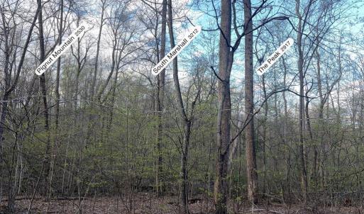 Photo #3 of PADUA, SPERRYVILLE, VA 14.3 acres
