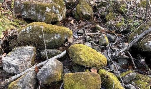 Photo #6 of PADUA, SPERRYVILLE, VA 14.3 acres