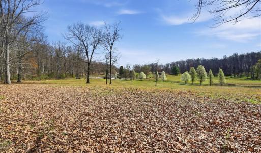 Photo #4 of MCDONALDS, HUME, VA 1.2 acres