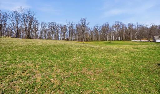 Photo #6 of MCDONALDS, HUME, VA 1.2 acres