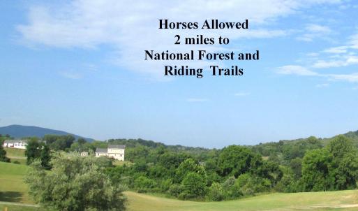 horses allowed