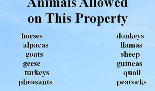 animals allowed