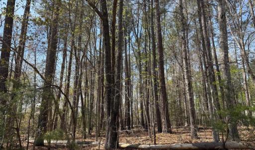 Photo #1 of WINDWOOD COVES BLVD, MINERAL, VA 0.9 acres