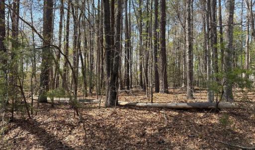 Photo #2 of WINDWOOD COVES BLVD, MINERAL, VA 0.9 acres