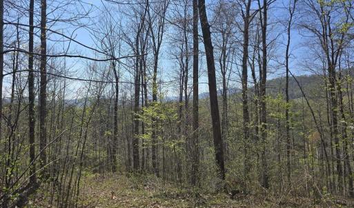 Photo #5 of S FT VALLEY RD, MADISON, VA 10.3 acres